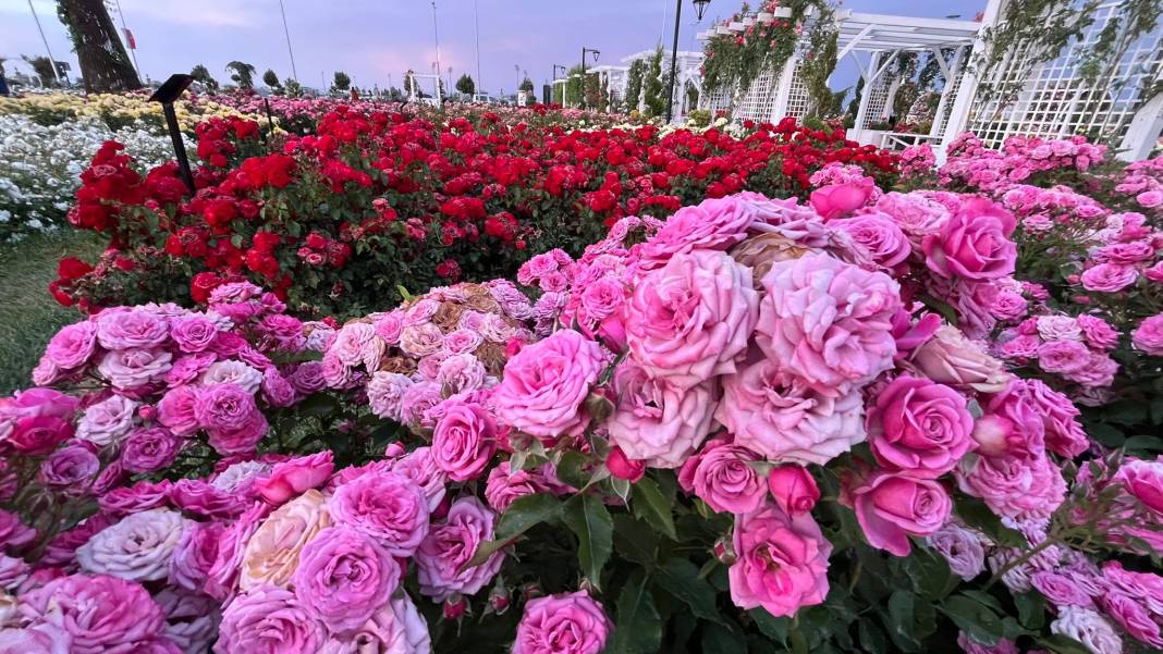 Konya’nın günbatımında masalsı manzara sunan parkı 39